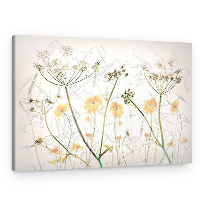 Delicate Botanical Sketches – Canvas Print