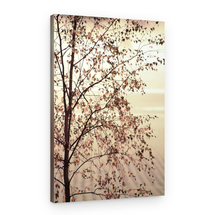 Golden Birch Leaves – Canvas Print