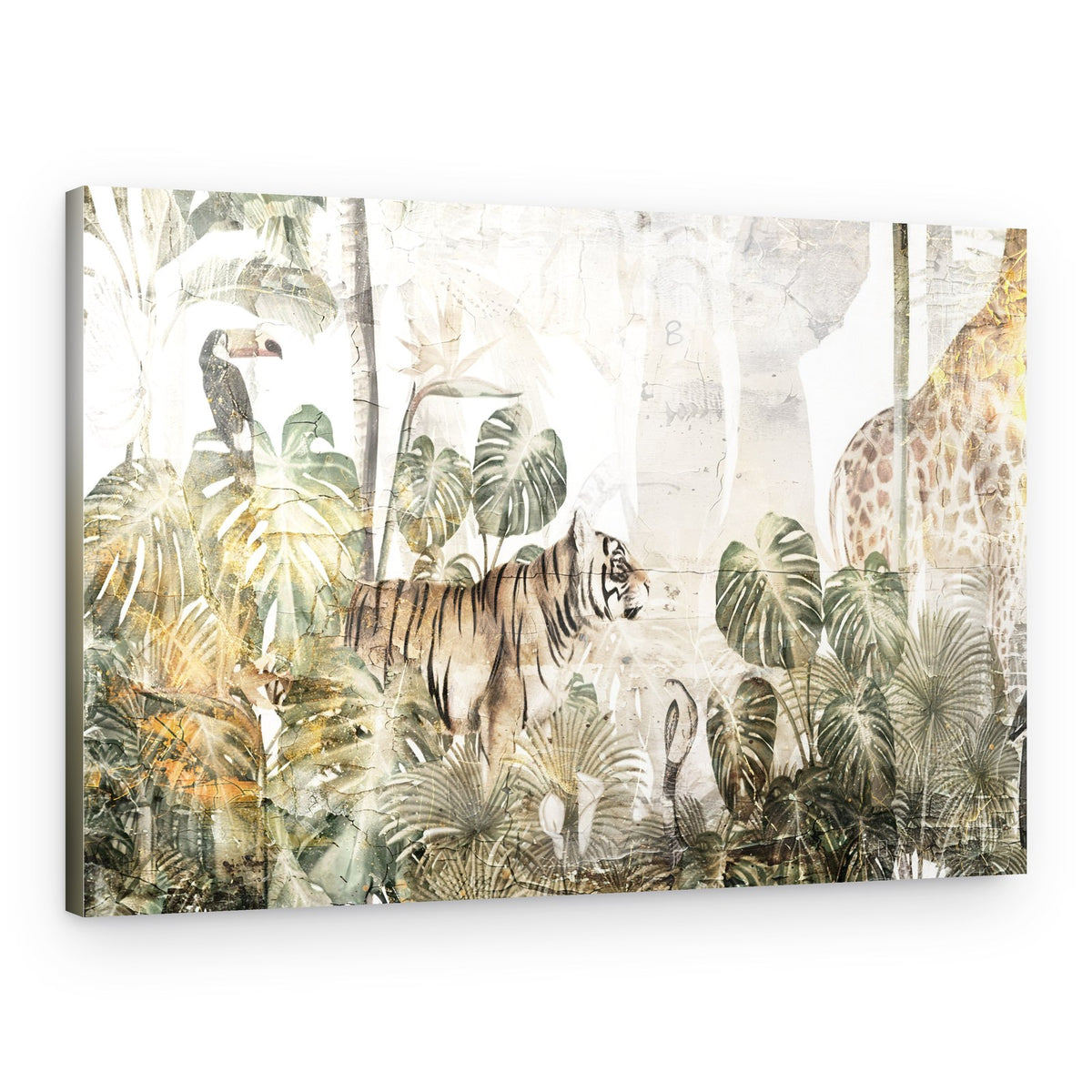 Tropical Jungle Wildlife – Canvas Print