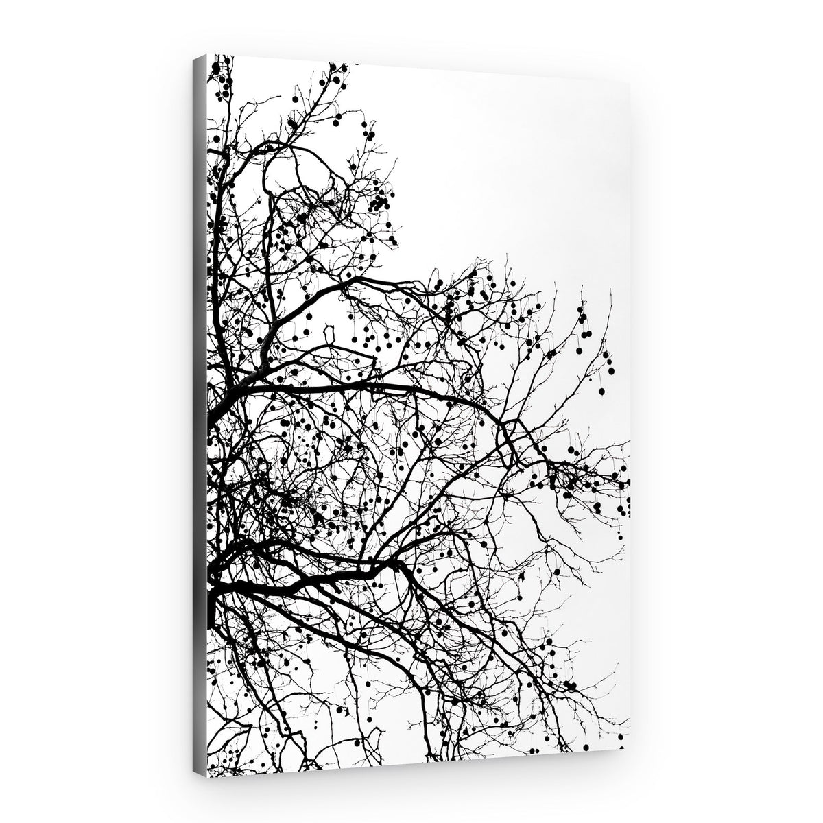 Winter Silhouettes 5 – Canvas Print
