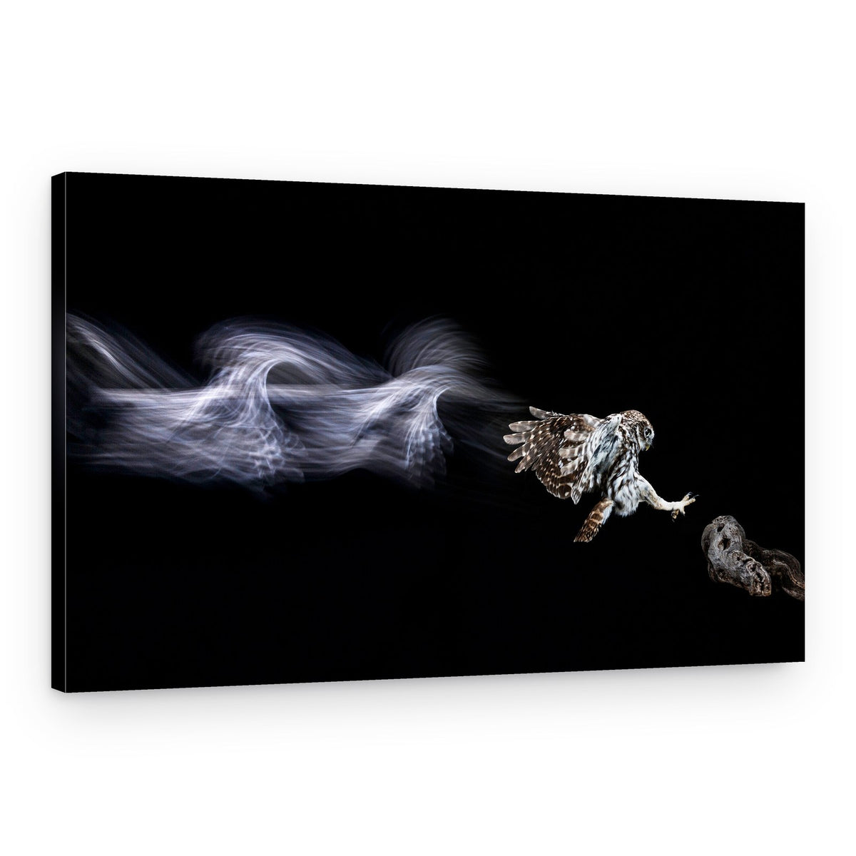 Dynamic Owl Flight – Canvas Print