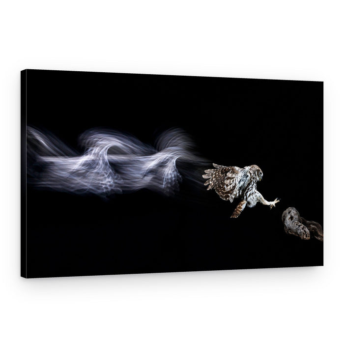 Dynamic Owl Flight – Canvas Print