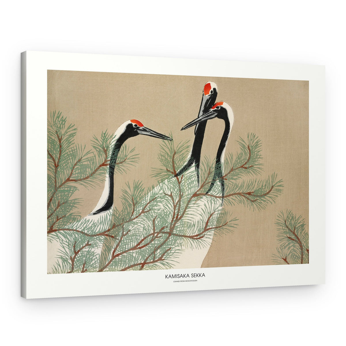Cranes From Momoyogusa – Canvas Print