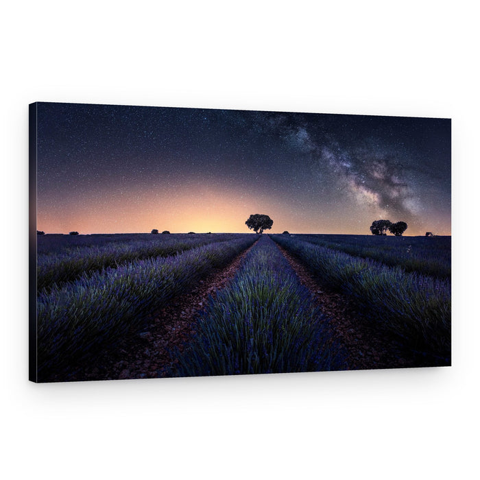 Milky Way Lavender Field – Canvas Print