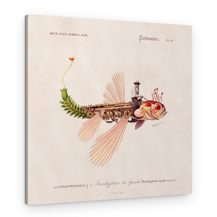 Steampunk Fish Rider – Canvas Print