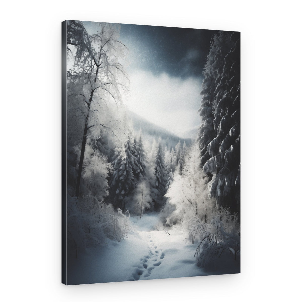 Snowy Forest Path – Canvas Print
