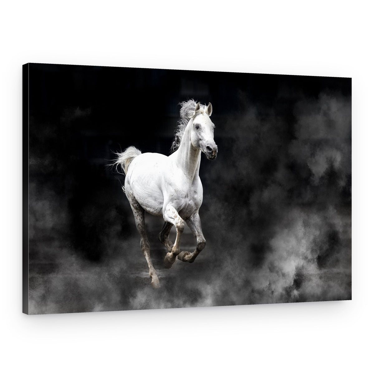 Galloping White Horse – Canvas Print