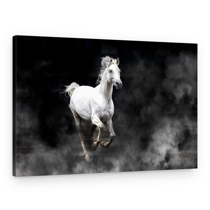 Galloping White Horse – Canvas Print