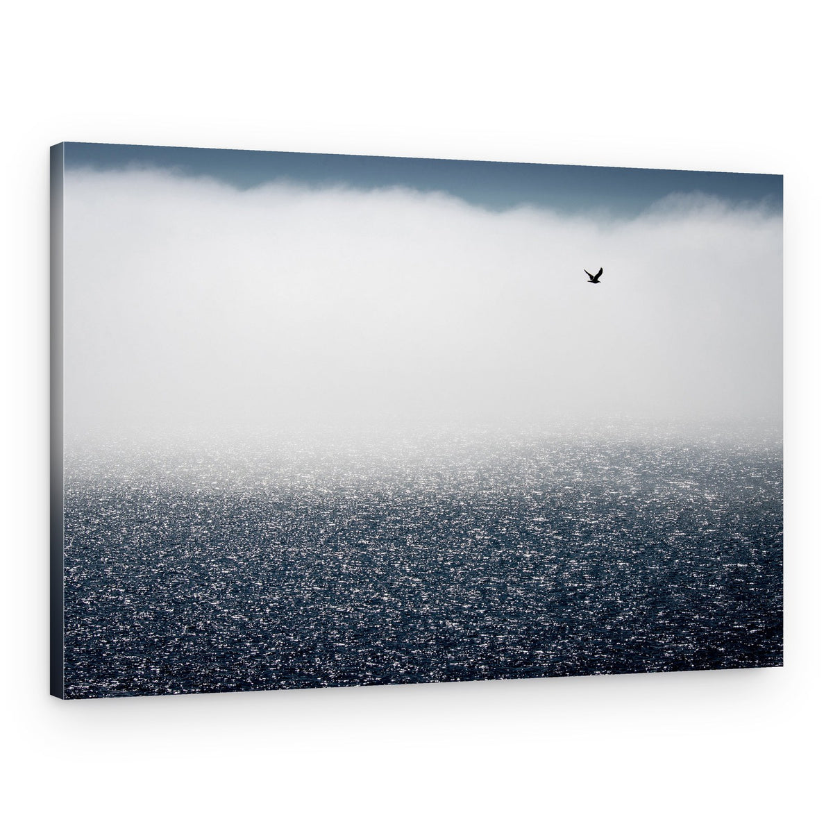 Misty Ocean Bird – Canvas Print