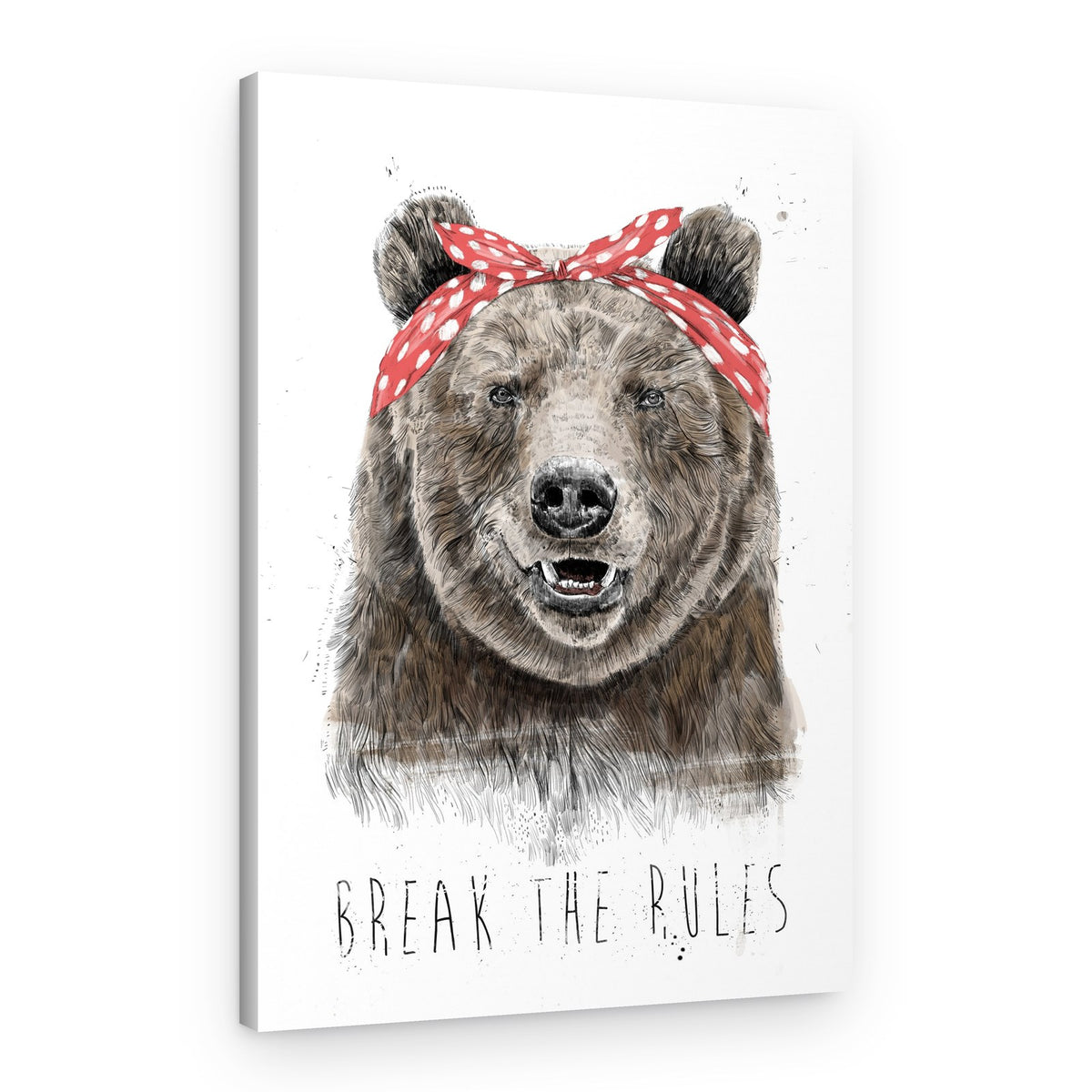 Cool Bear Breaks Rules – Canvas Print