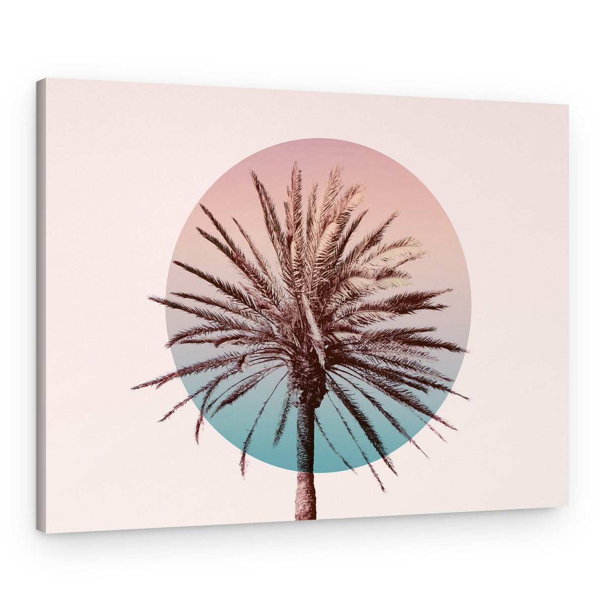 Dreamy Tropical Palm Circle – Canvas Print