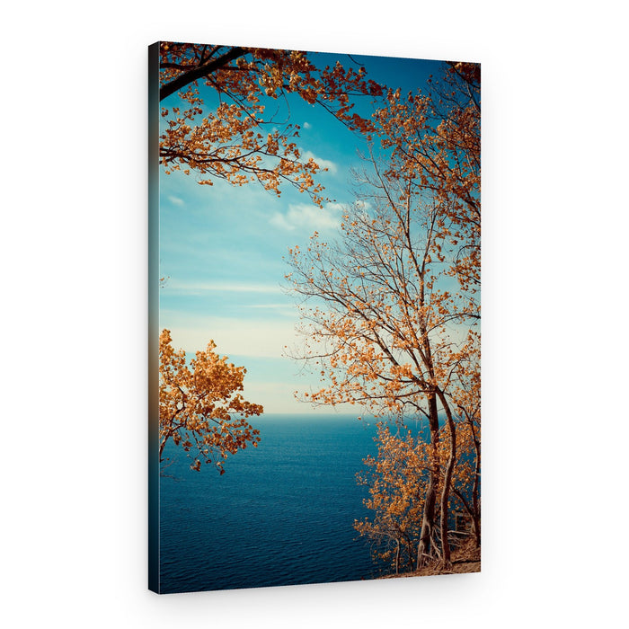Golden Trees Ocean Vista – Canvas Print