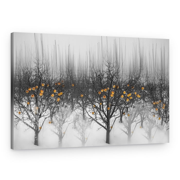 Winter Orchard Glow – Canvas Print