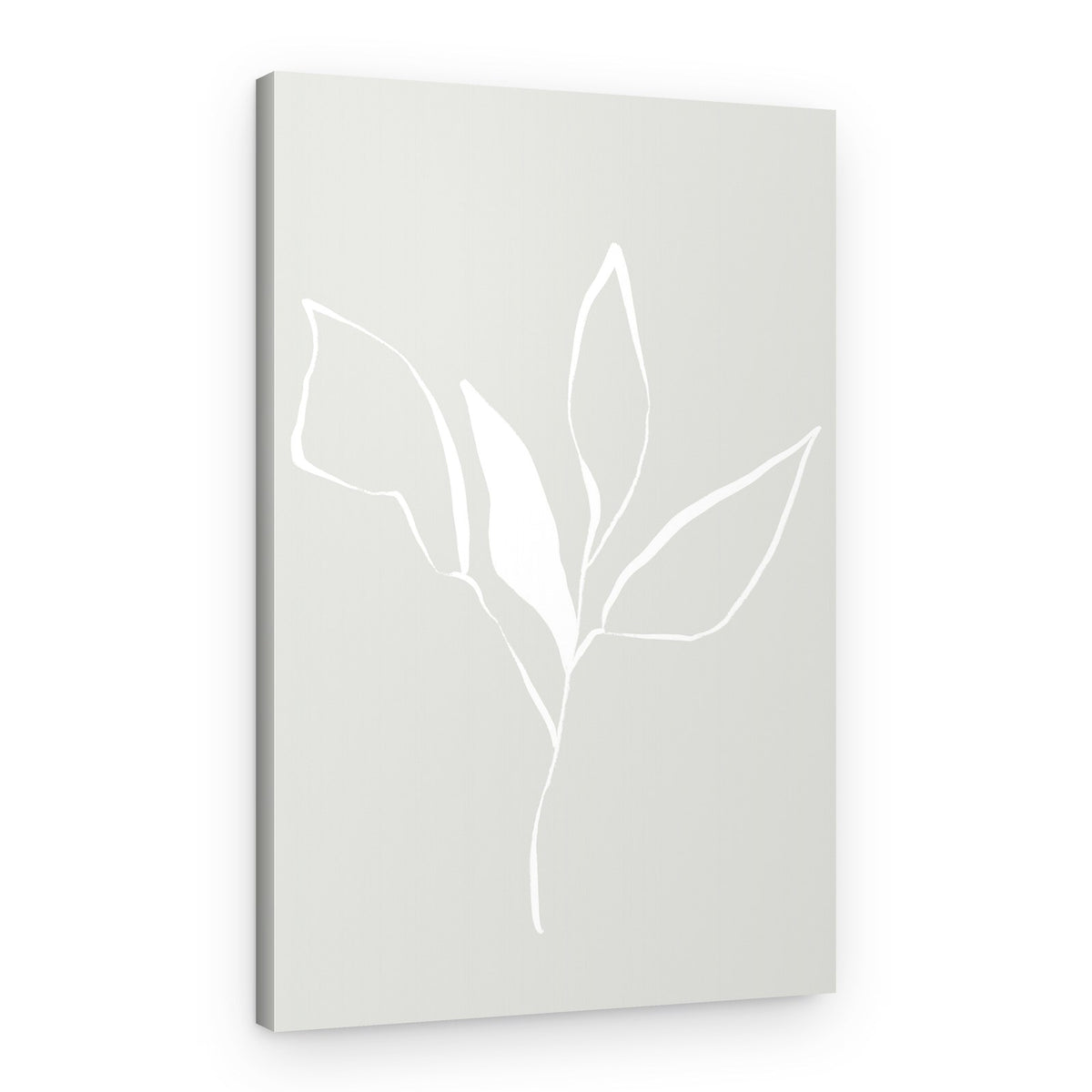 Whispers of Nature With Soft Flower – Canvas Print