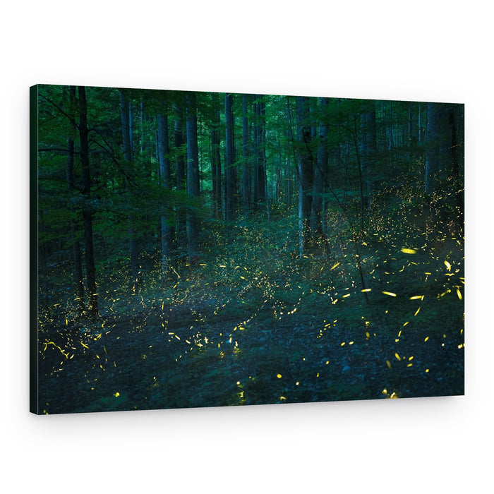 Forest Firefly Glow – Canvas Print