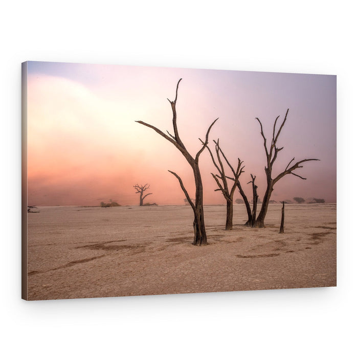 Desert Trees At Sunset – Canvas Print