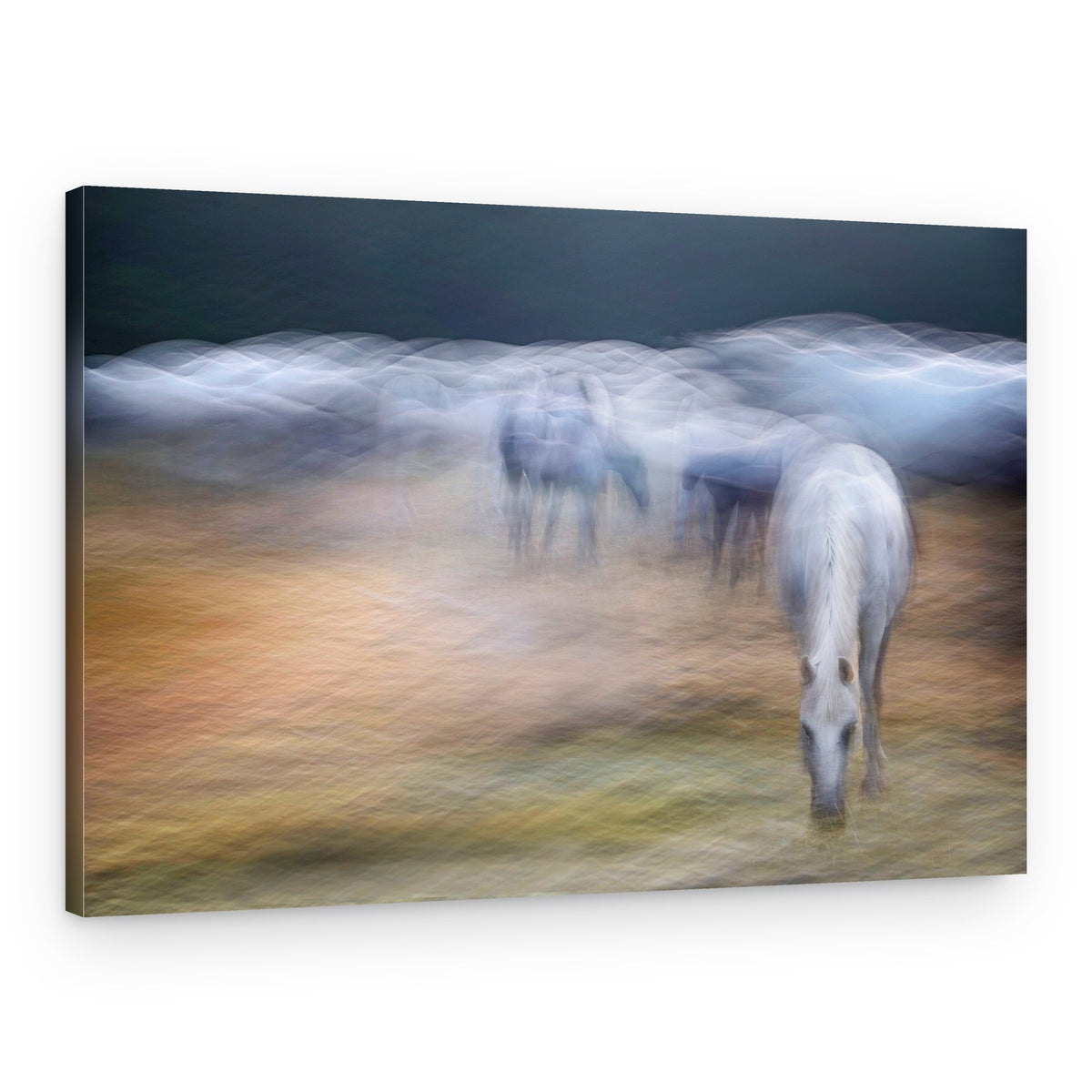 Dreamy White Horses – Canvas Print