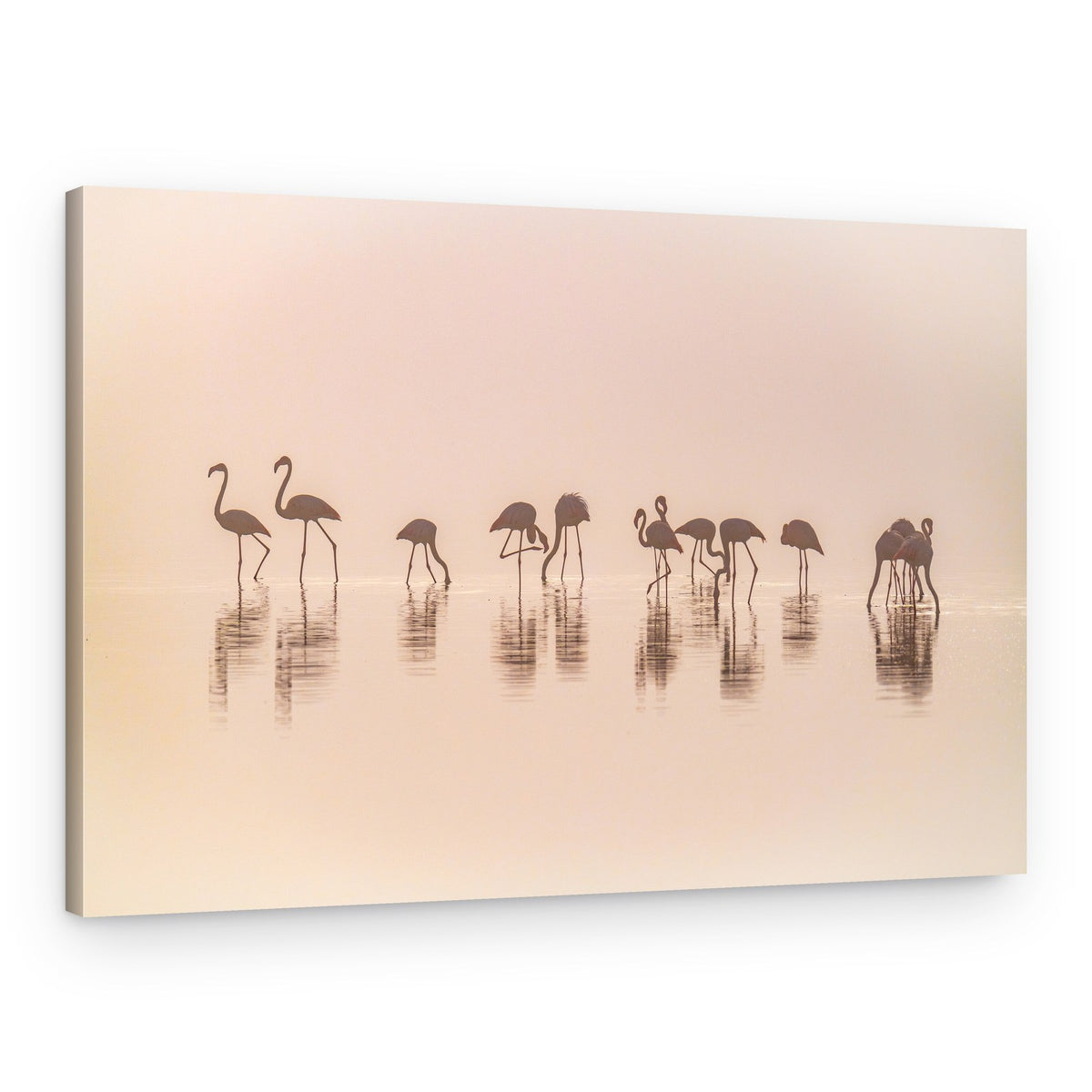 Serene Flamingo Silhouettes – Canvas Print