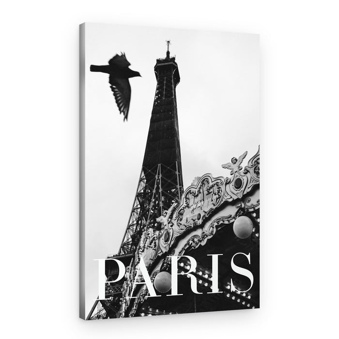 Paris Dove – Canvas Print