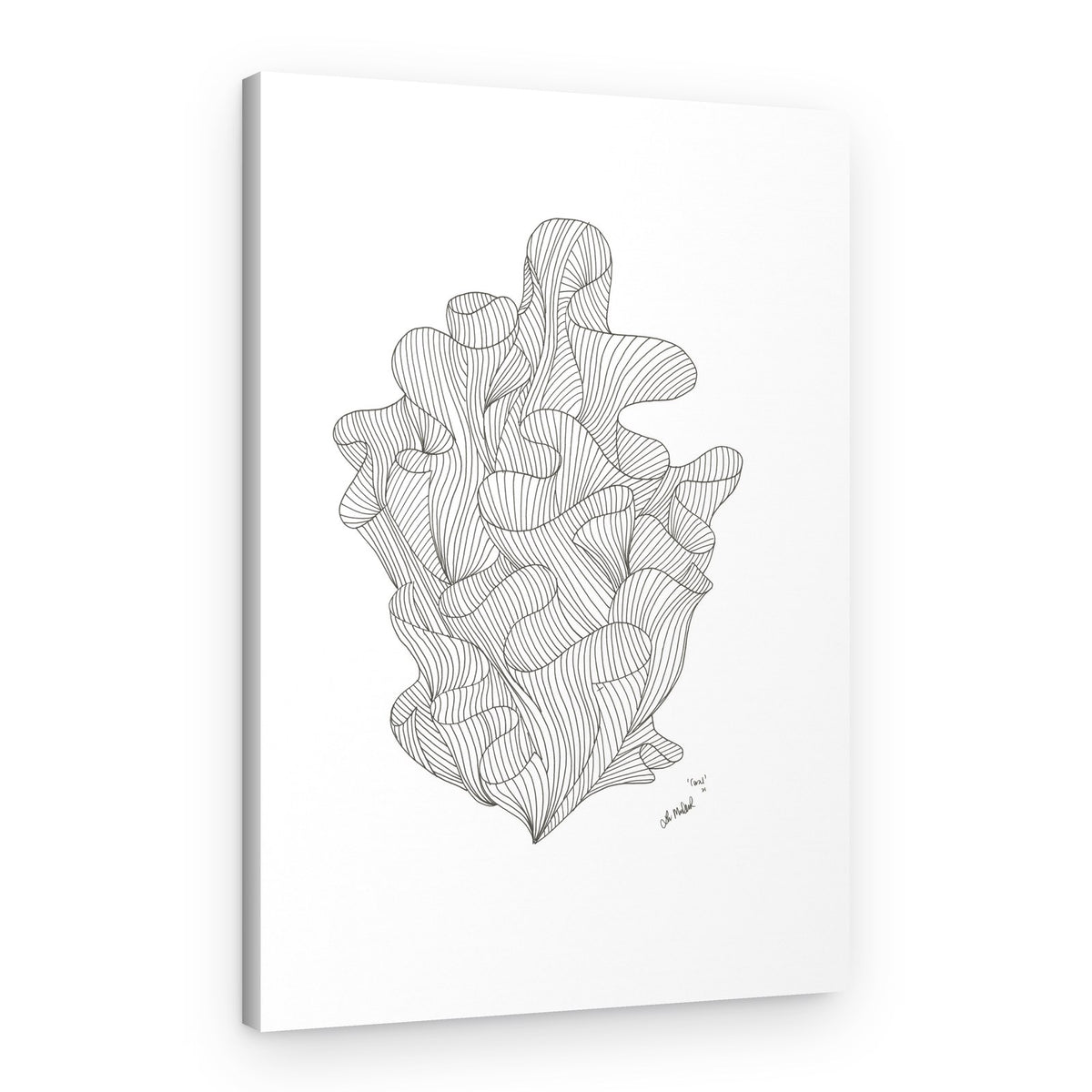 Fluid Organic Lines – Canvas Print