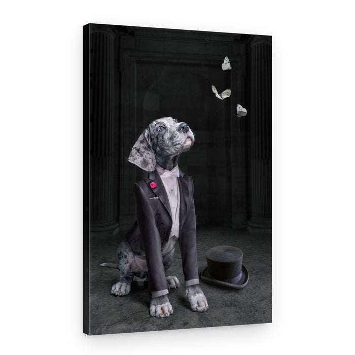 Dapper Dog and Butterflies – Canvas Print
