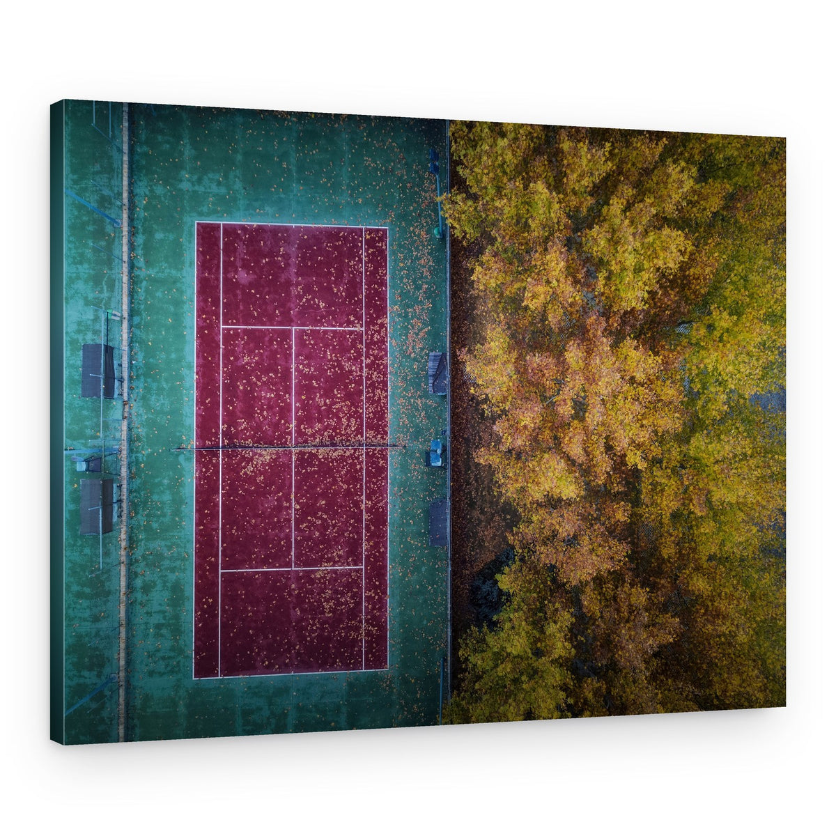 Golden Autumn Tennis Court – Canvas Print