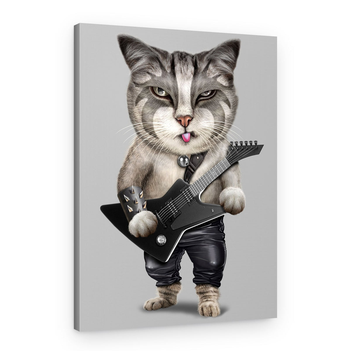 Sassy Rocker Cat – Canvas Print