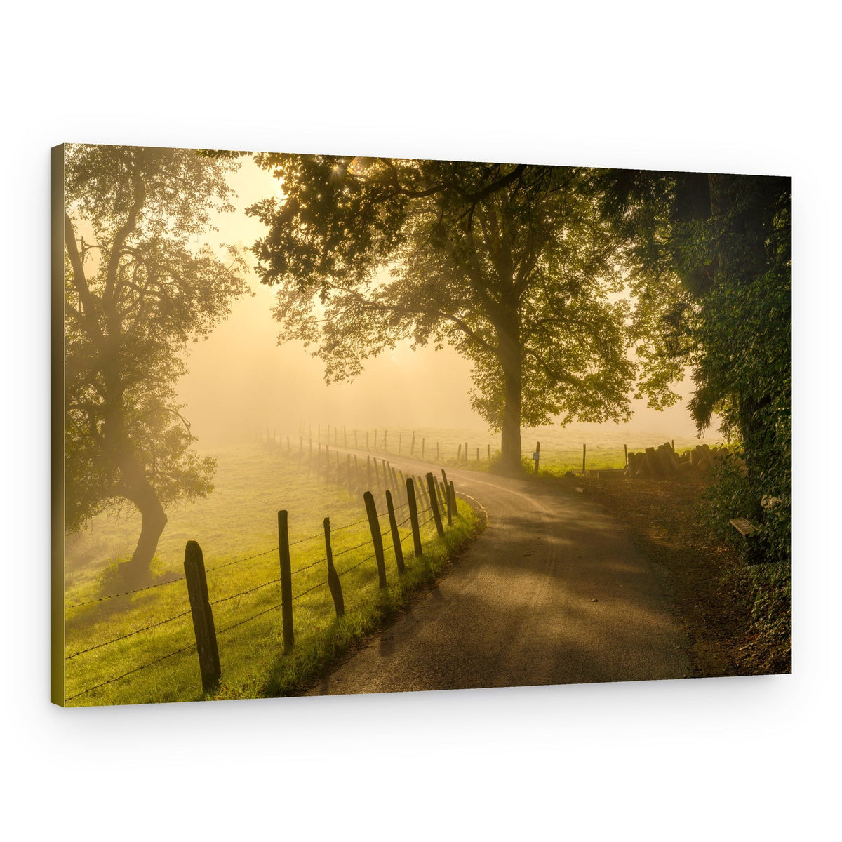 Golden Misty Road – Canvas Print