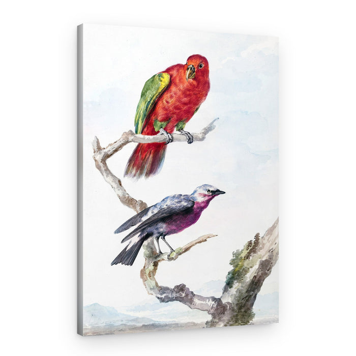 Two Birds, Including a Red Green Parrot – Canvas Print
