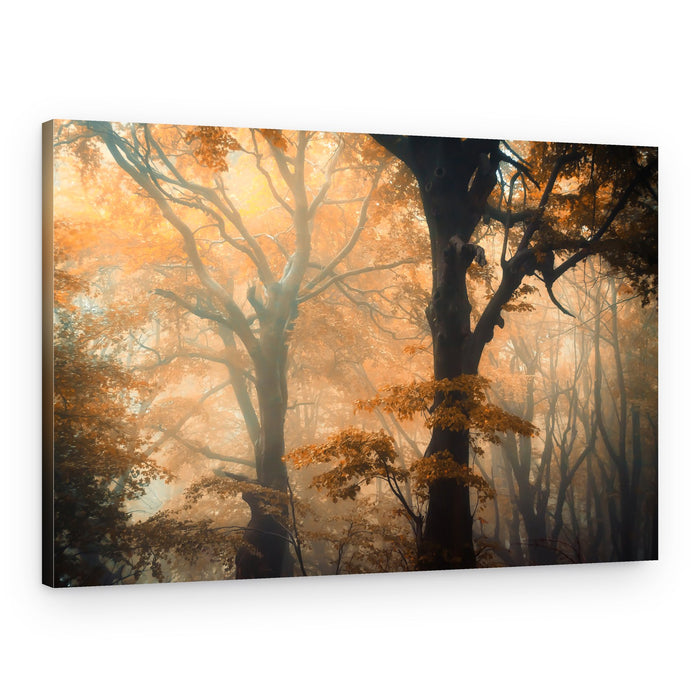 Misty Golden Forest – Canvas Print