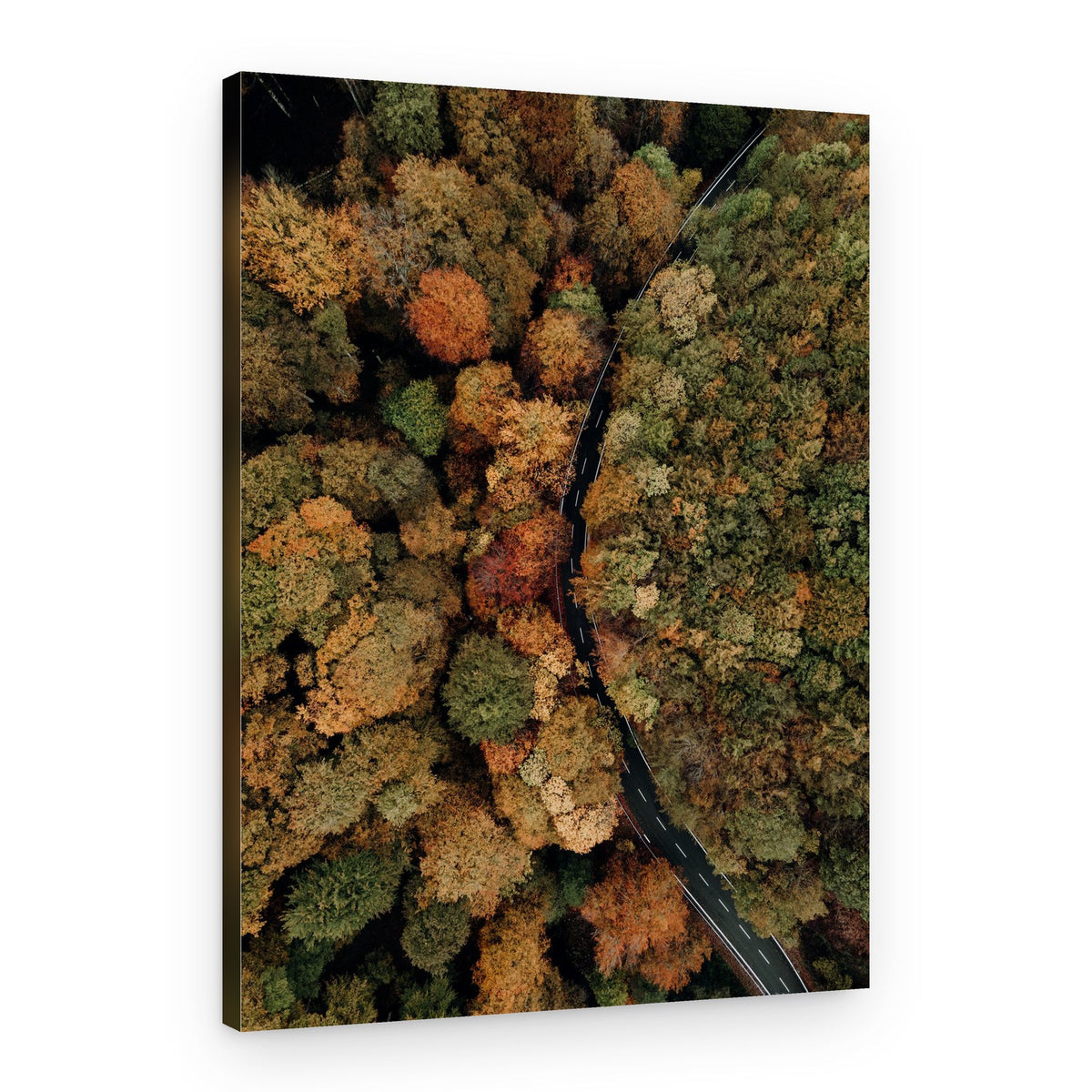 Winding Autumn Road – Canvas Print