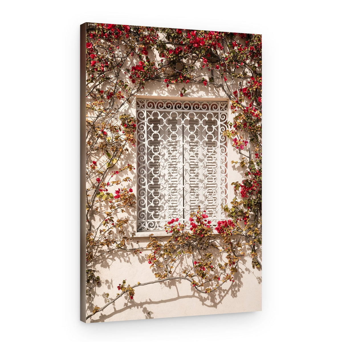 Mediterranean Window Blooms – Canvas Print