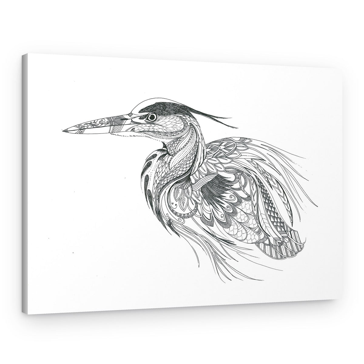 Heron – Canvas Print