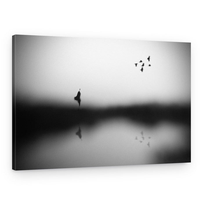 Serene Birds Reflection – Canvas Print