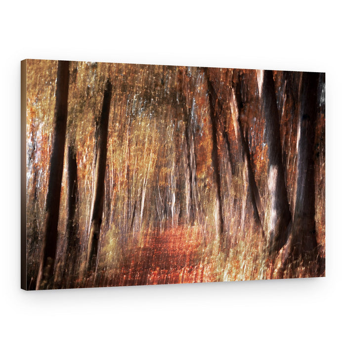 Golden Autumn Forest – Canvas Print