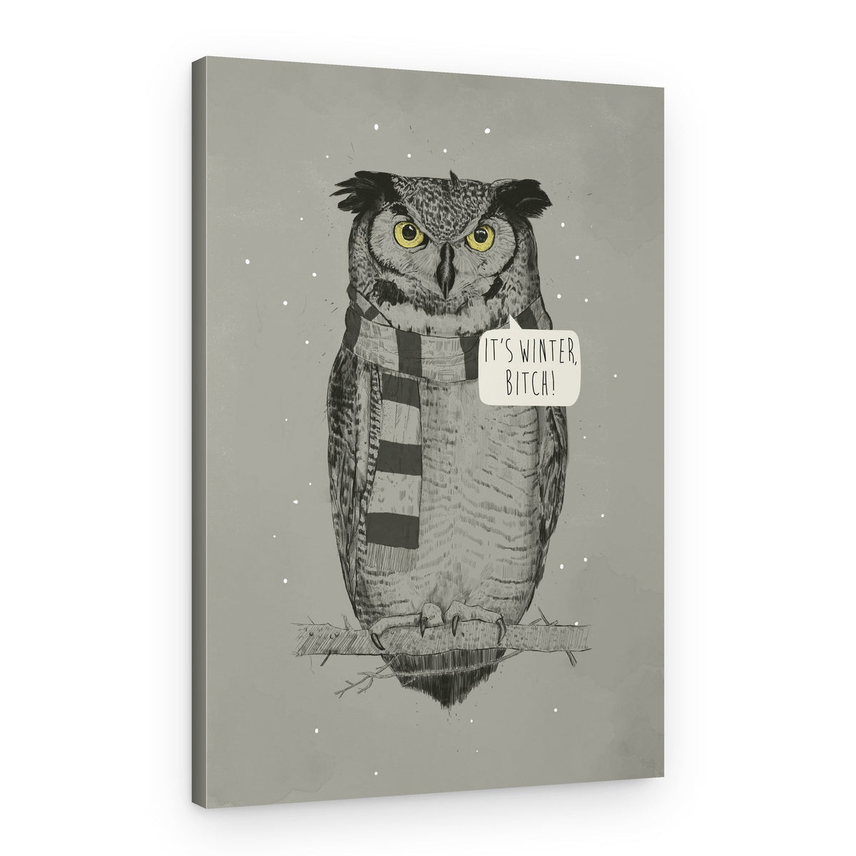 Sarcastic Winter Owl – Canvas Print