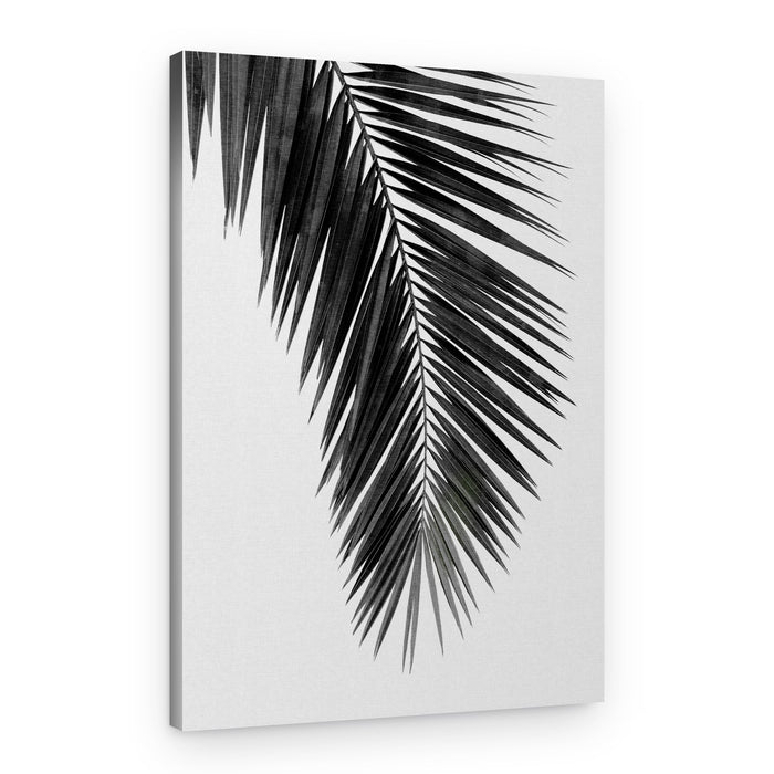 Elegant Palm Silhouette – Canvas Print
