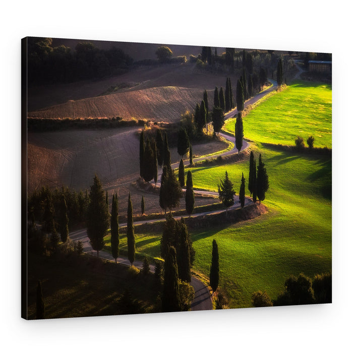 Tuscan Winding Road – Canvas Print
