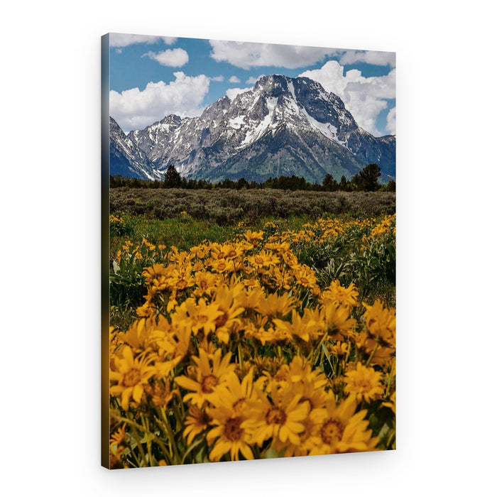 Mountain Wildflower Field – Canvas Print