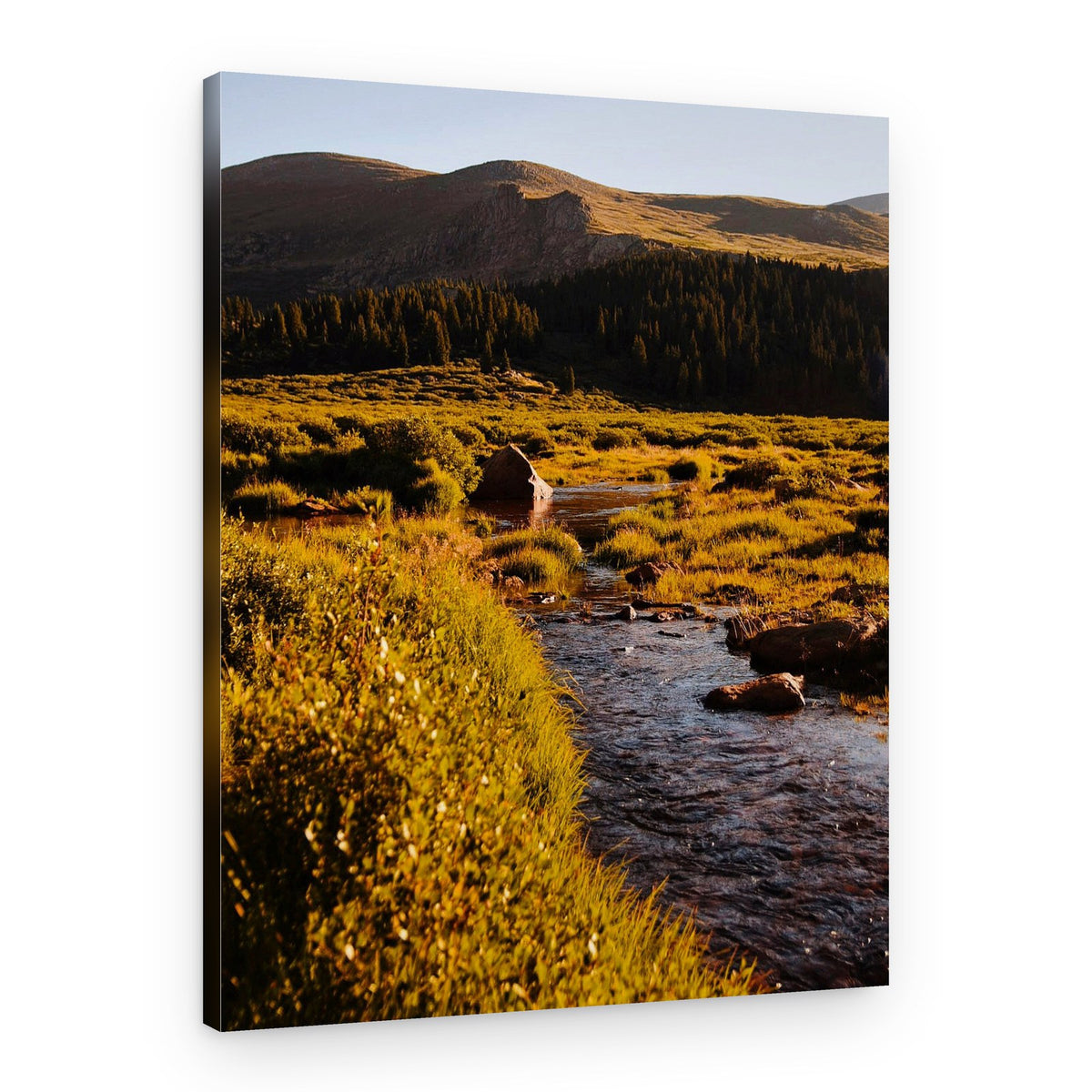 Golden Valley Stream – Canvas Print