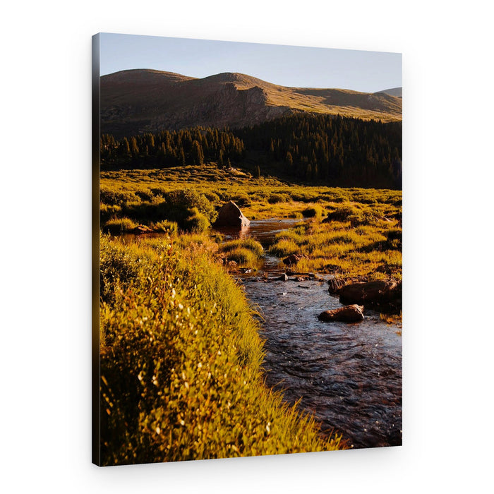 Golden Valley Stream – Canvas Print