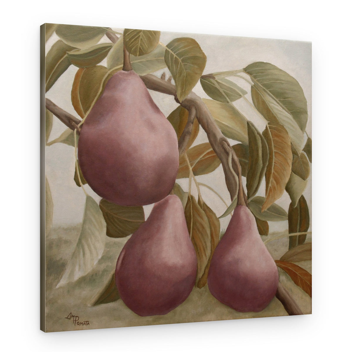 Purple Pears On Branch – Canvas Print