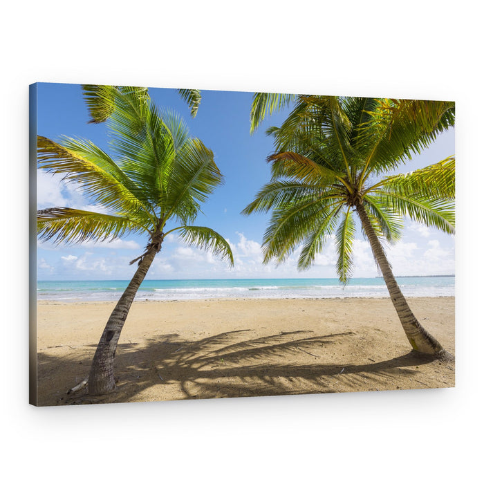 Palmy Beach – Canvas Print
