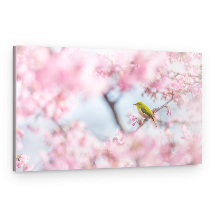Pink Blossom Bird – Canvas Print
