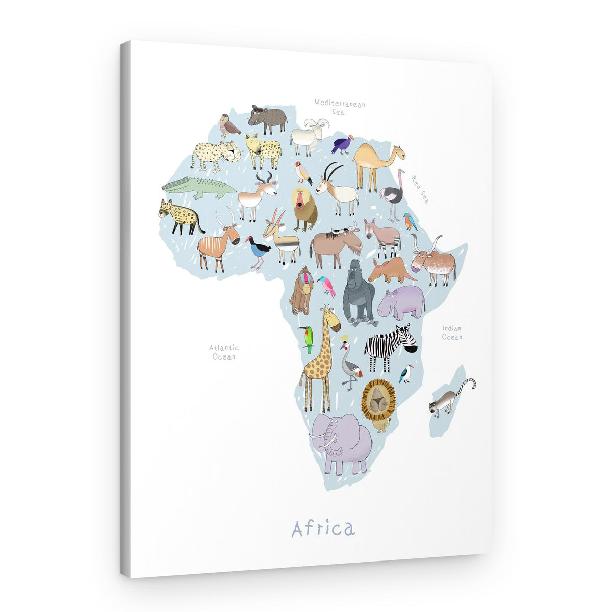 Playful African Animals – Canvas Print
