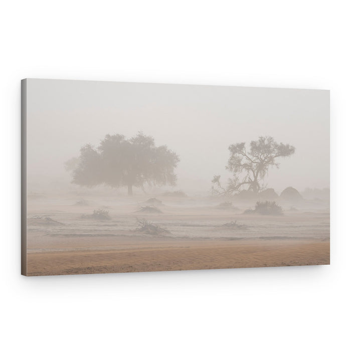 Misty Desert Trees – Canvas Print