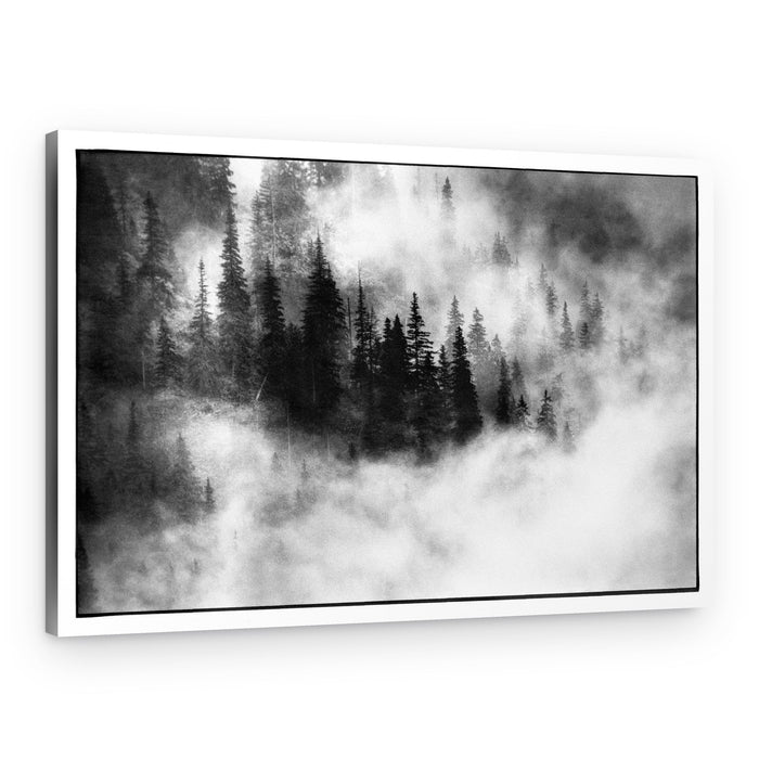 Misty Forest Trees – Canvas Print