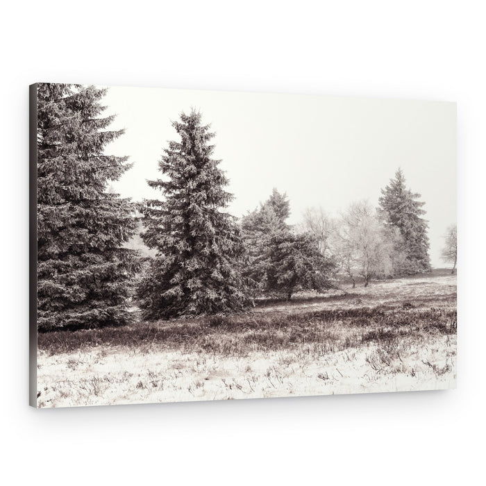 Serene Winter Landscape – Canvas Print