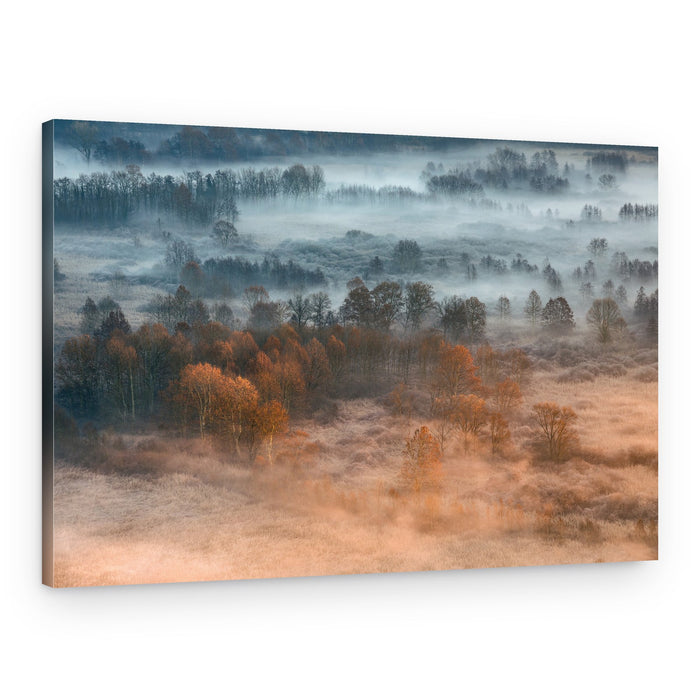 Golden Misty Forest – Canvas Print