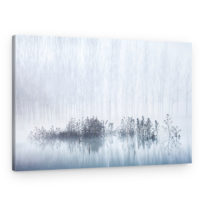 Misty Winter Trees – Canvas Print